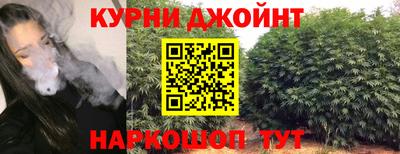 дурь Камышлов
