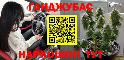 дурь Камышлов