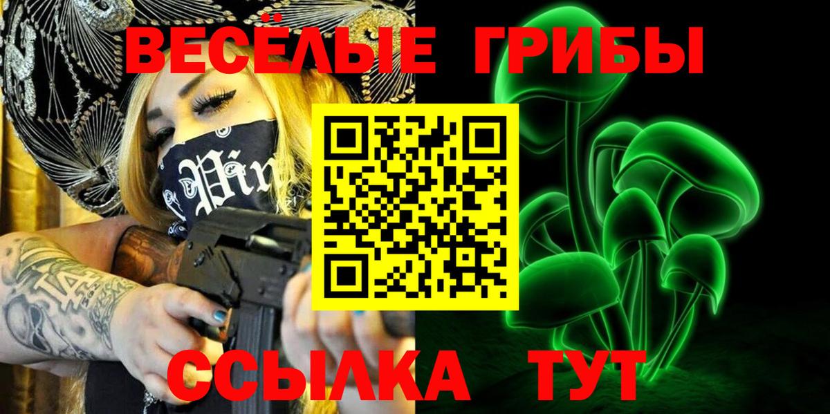 купить наркотики цена  Галлюциногенные грибы Cubensis  Псилоцибиновые грибы ЛСД  Вход с VPN  Ессентуки 